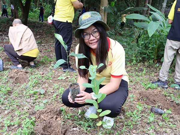 ดวงตะวัน ร่วมปลูกป่า ถวายเป็นพระราชกุศลในหลวง ร.๑๐