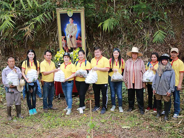 ปลูกป่าเฉลิมพระเกียรติ - กิจกรรม